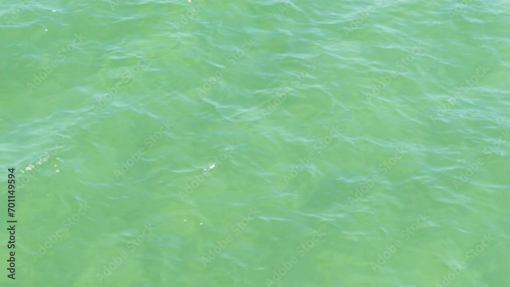 Blue-green water surface, Germany, Europe Blue-green water surface, Germany, Europe