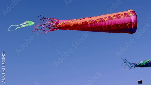  Flying fish flag, Galveston, Texas