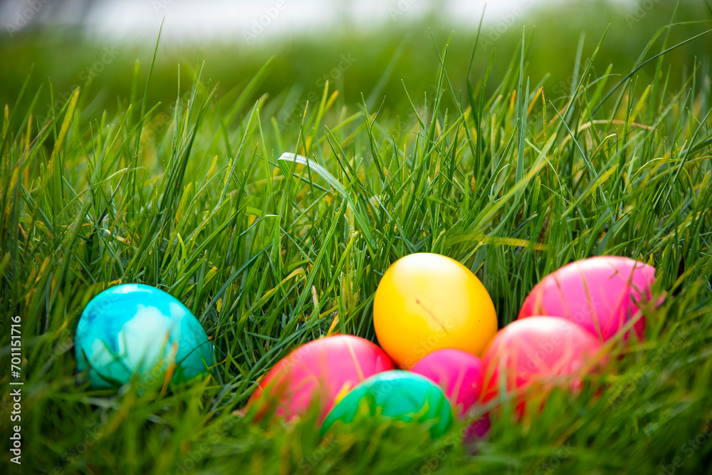 Colorful easter eggs in the grass