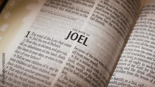 The Bible-The Old Testament Book of Joel title photo