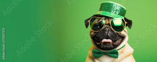 Happy dog celebrating St. Patrick's Day photo