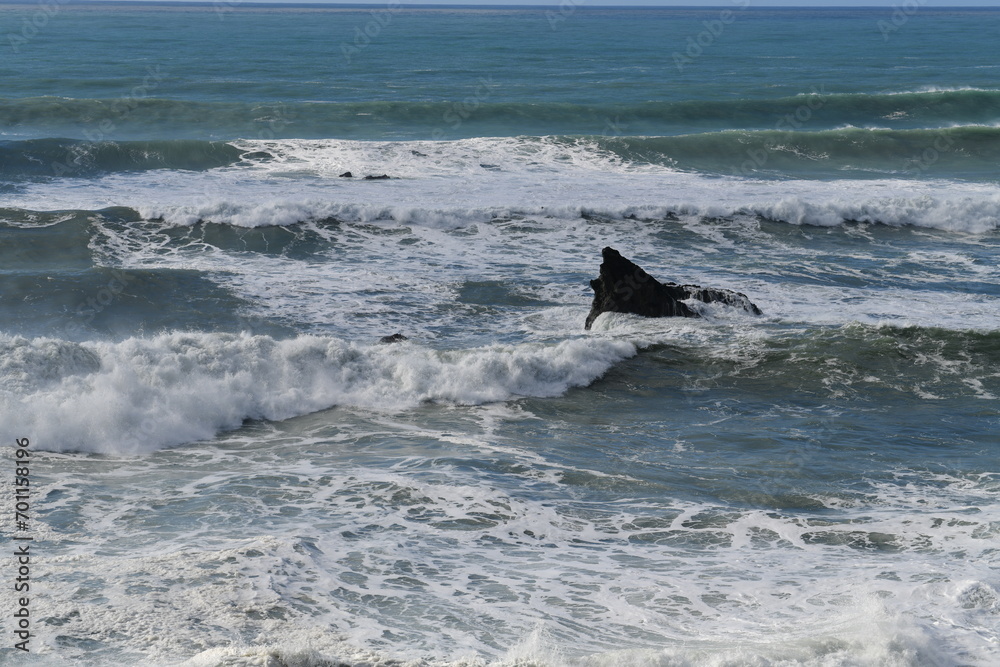 Fototapeta premium Impressions from the pacific coast