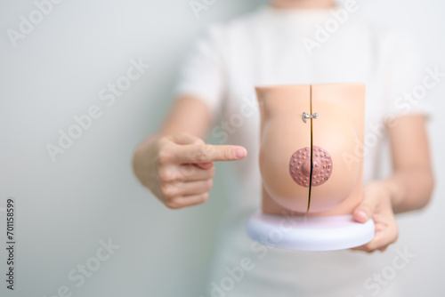 woman holding Breast Anatomy model. Breast Augmentation Surgery, October Breast Cancer Awareness month, implant, Diagnosis, Beauty woman enlargement and medical education concept photo