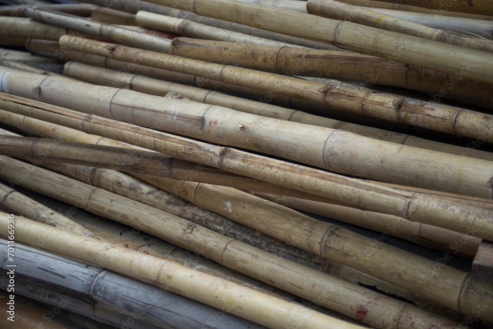 close up of bamboo texture, bamboo background close up of bamboo texture, bamboo background