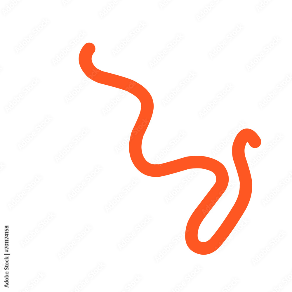 Fototapeta premium Hand Drawn Curly Line Vector 