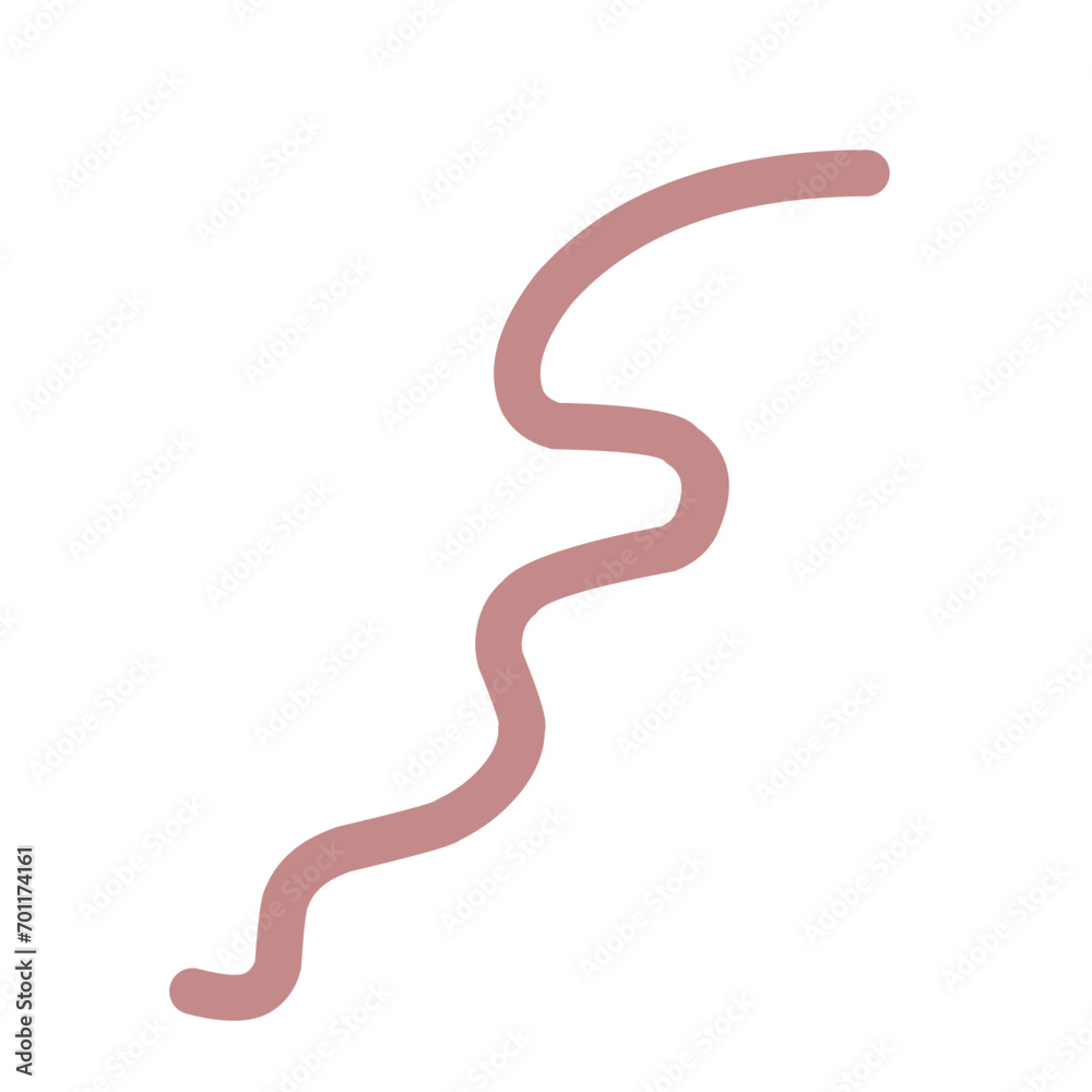Hand Drawn Curly Line Vector 