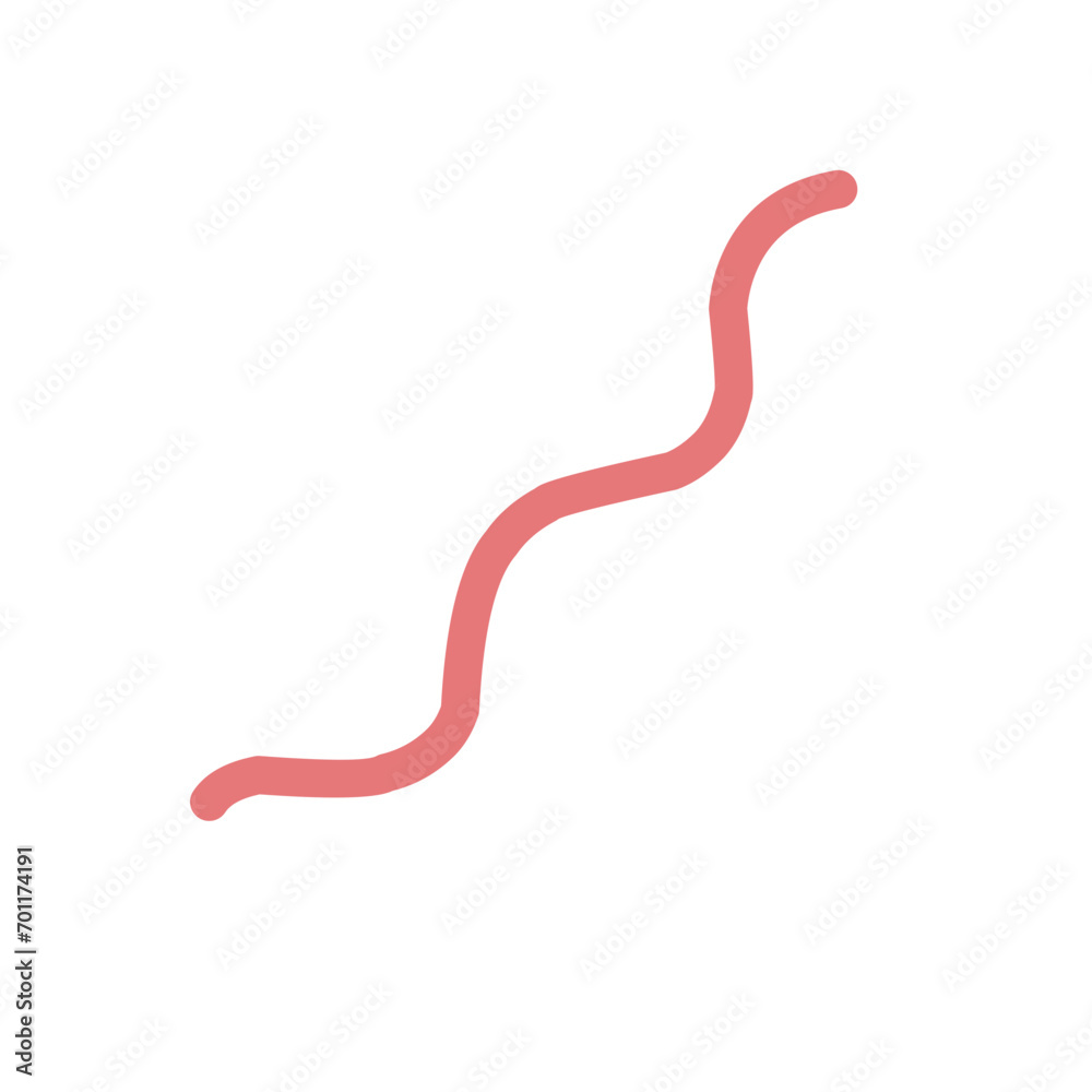 Hand Drawn Curly Line Vector Hand Drawn Curly Line Vector