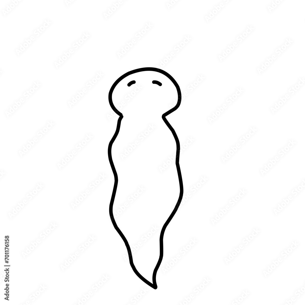 Planaria Flatworm Outline 