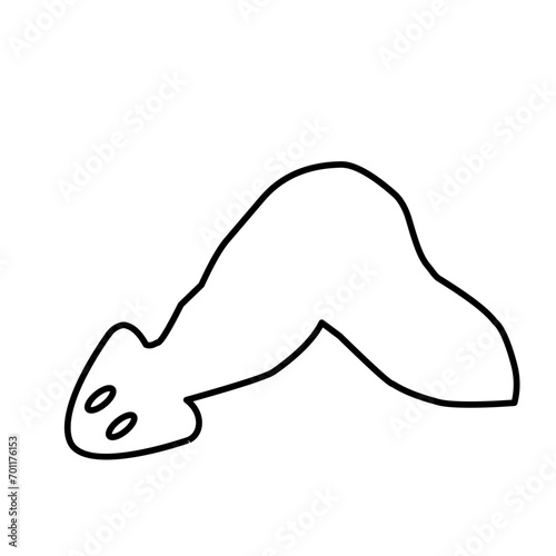 Planaria Flatworm Outline 
