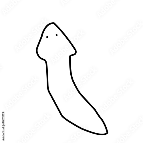 Planaria Flatworm Outline 