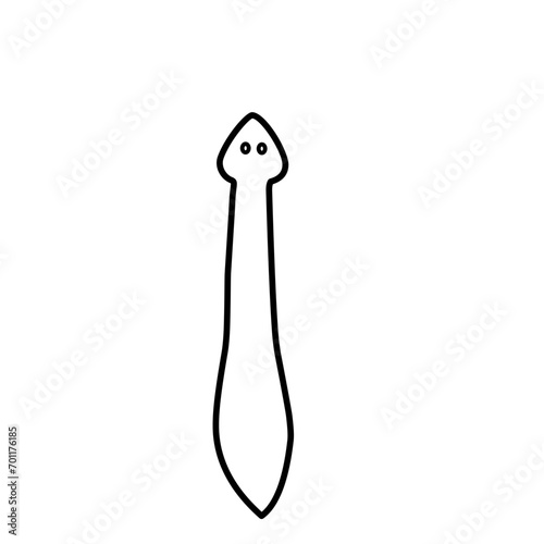 Planaria Flatworm Outline 