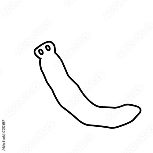 Planaria Flatworm Outline 