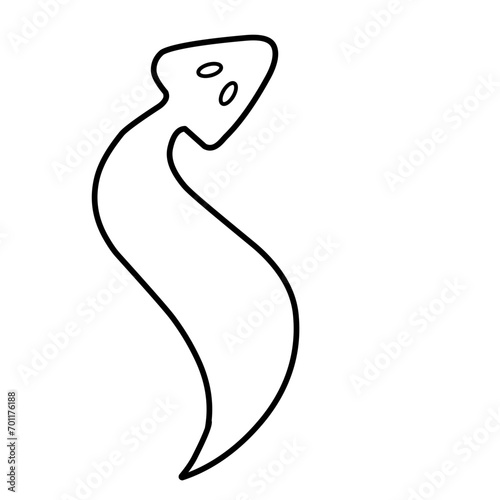 Planaria Flatworm Outline 