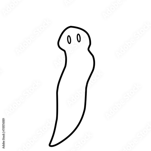 Planaria Flatworm Outline 