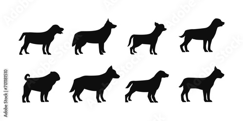 Vector collection of Dogs silhouettes. photo