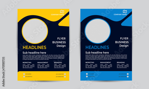  various shape proffessional business flyer design tamplete with 3colours  and various iconic shape for different marketplaces photo