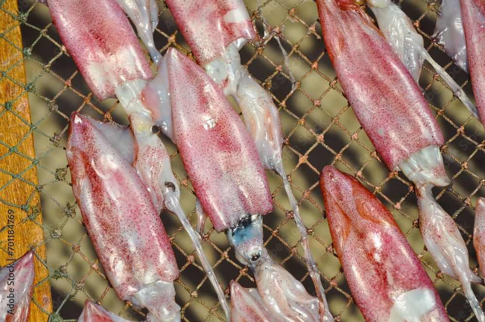 Dried squid on the grill.
Making dried squid Community way of life in preserving seafood among villagers in Hua Hin, Thailand. Dried squid on the grill.
Making dried squid Community way of life in preserving seafood among villagers in Hua Hin, Thailand.