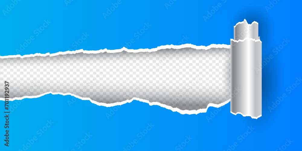 rolled ripped torn paper sheet on transparent background vector - obrazy, fototapety, plakaty 