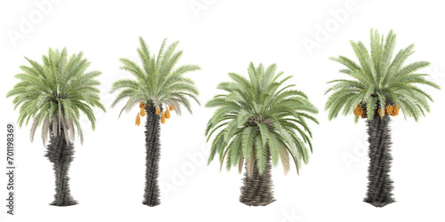 Date palm trees and shrubs in summer isolated on white background. Forestscape. High quality clipping mask. Forest and green foliage