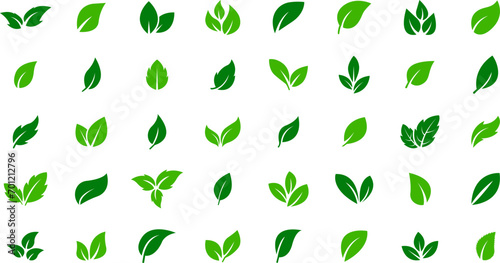 Set of green leaf icons. Eco, bio, natural, vegan icon. Vector illustration. photo