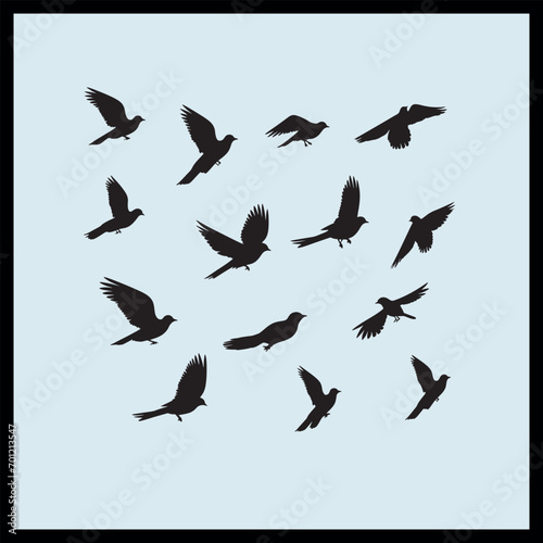 Silhouette Flock of Birds Set Clip art, Flock of flying Birds,  Birds vector illustration