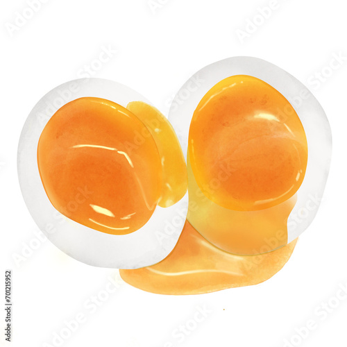 egg 