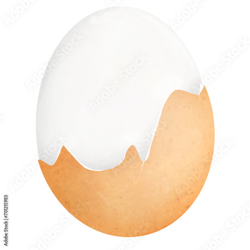 egg