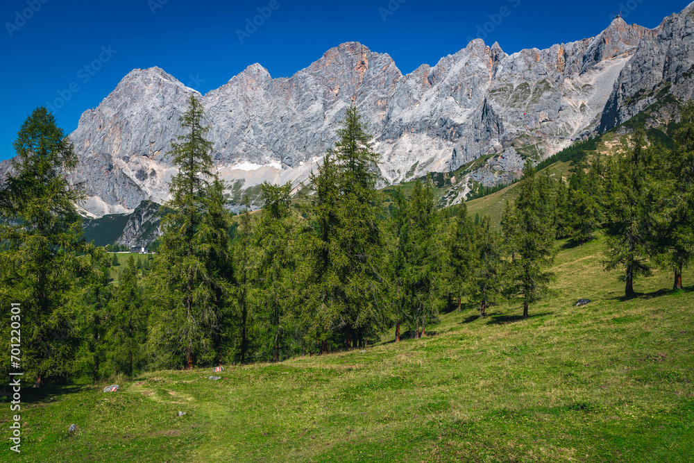Alpine scenery with high mountains and green larch forest, Austria