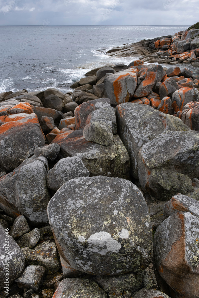 Orange-hued granite rocks in the Bay of Fires on the northeastern coast of Tasmania, Australia