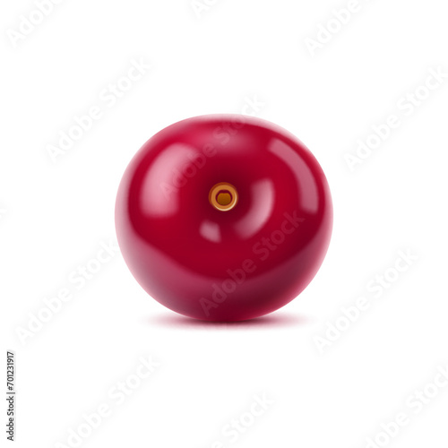 Realistic isolated ripe raw cherry berry. 3d vector vibrant cherry, showcasing its rich red hue and glossy surface. Succulent, juicy garden fruit tempts with a promise of sweetness and freshness
