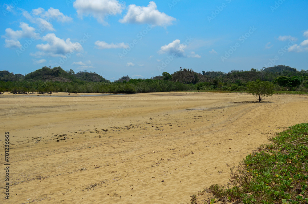 Fototapeta premium Expansive sandy plain under a bright blue sky, lone tree, distant hills, tropical landscape.