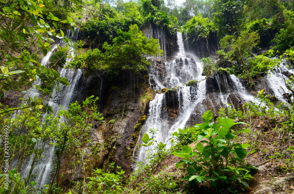 Obraz premium Beautiful waterfall with very beautiful scenery and shady trees