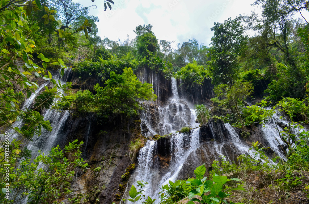 Fototapeta premium Lush green foliage frames a cascading waterfall tumbling down a rocky cliff face.