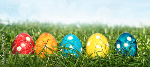 Row of Easter eggs in Fresh Green Grass