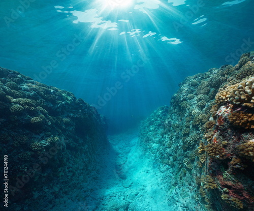 Sunlight underwater with a trench in the coral reef, Pacific ocean, French Polynesia, natural scene