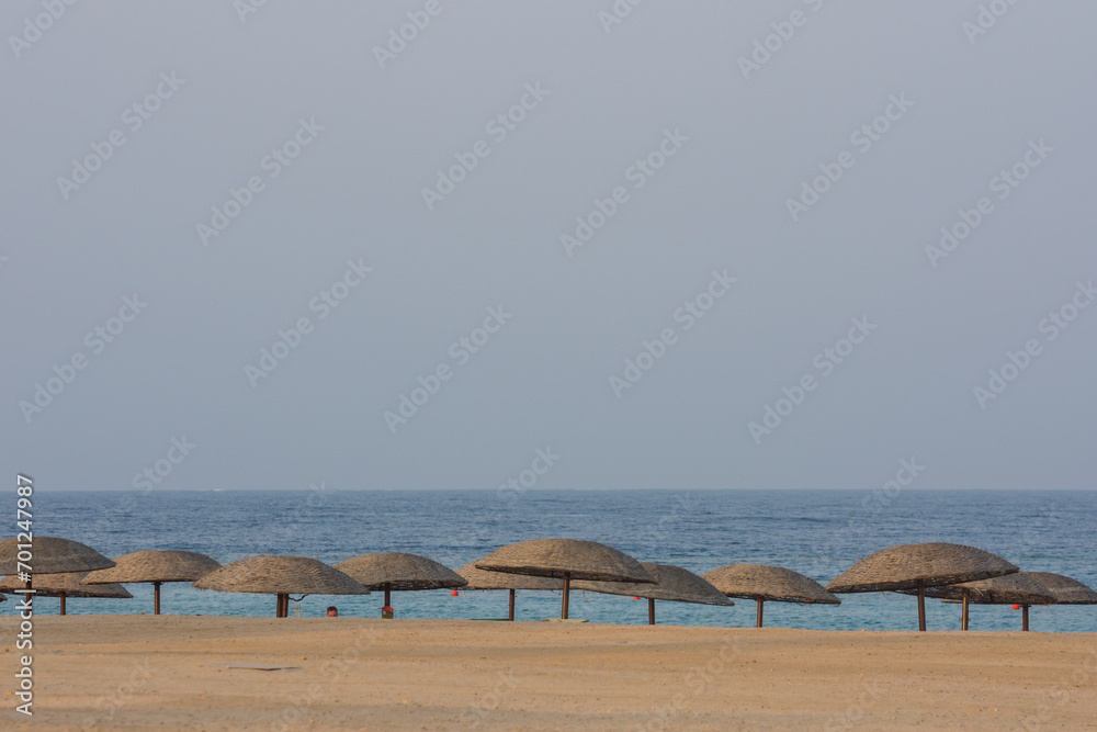lot of parasol on the sandy beach at the red sea lot of parasol on the sandy beach at the red sea