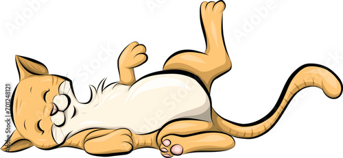 Katze