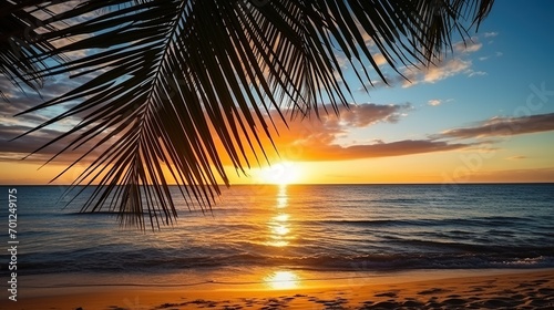 sunset on the beach.sunset landscape beach view with coconut trees 