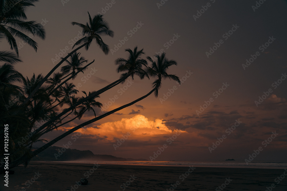 Palm trees during Sunset at Uvita beach, Costa Rica
