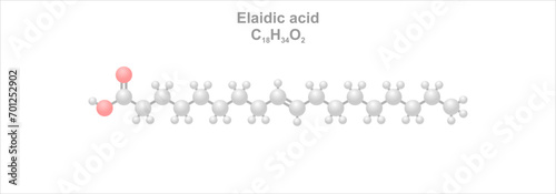 Tableau sur toile Elaidic acid