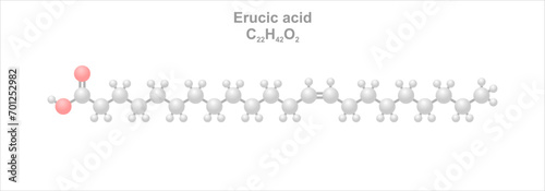Erucic acid. Simplified scheme of the molecule. Substance is prevalent in plants of the family Brassicaceae. photo