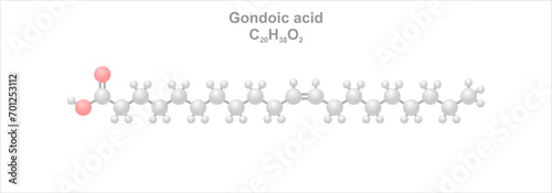 Gondoic acid. Simplified scheme of the molecule. Found in plant oils and nuts.