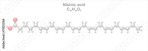 Nisinic acid. Simplified scheme of the molecule. Occurs in fish oil. photo