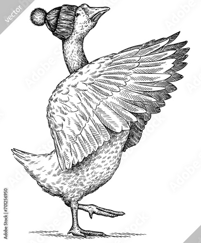 Vintage engraving isolated duck set glasses dressed fashion illustration goose ink sketch. Farm bird background silhouette geese sunglasses hipster hat art. Black and white hand drawn vector image