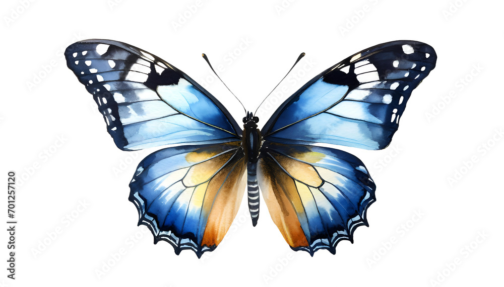 Watercolor blue butterfly isolated. Watercolor blue butterfly isolated.