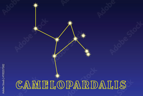 Constellation Camelopardalis. Giraffe constellation. Large dim near-polar constellation of the northern hemisphere. Best surveillance conditions in January and February