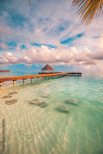 Fantastic sunset beach shore, shallows with sting rays and sharks in Maldives islands. Luxury resort hotel, wooden pier, over water villa, bungalow. Amazing traveling, vacation landscape wildlife