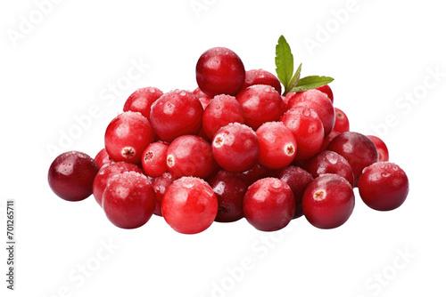 Festive Cranberry Flavors Isolated On Transparent Background