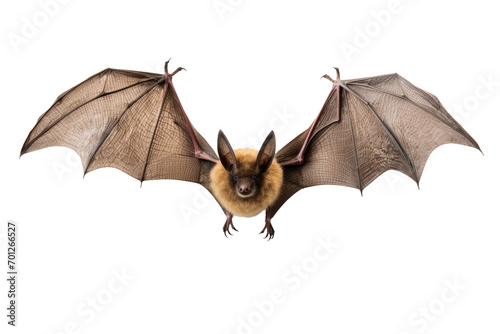 The Enigmatic Bat Isolated On Transparent Background