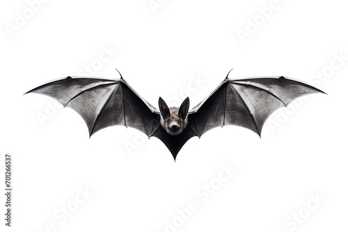 The Agile Bat Isolated On Transparent Background